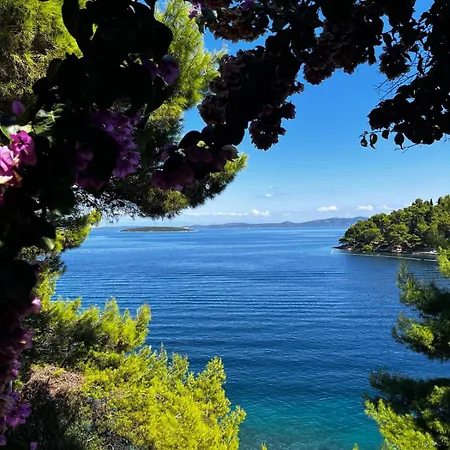 Viktor Διαμέρισμα