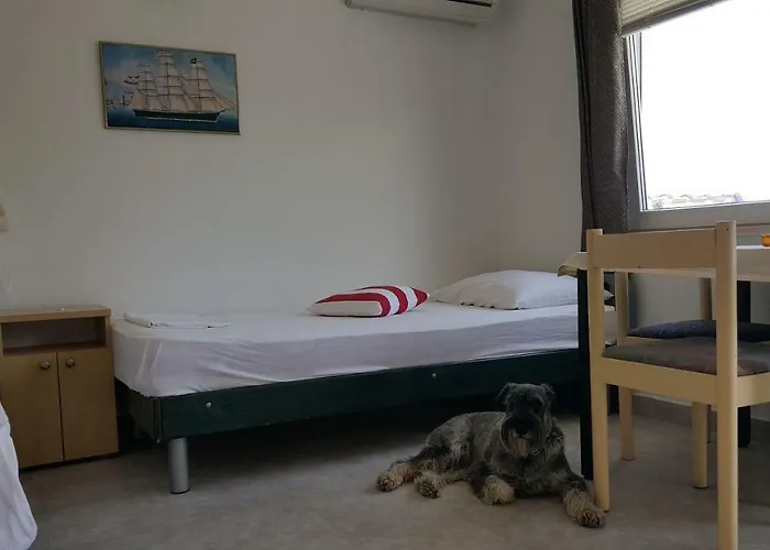 Apartament Viktor *