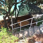Διαμέρισμα Viktor Sali