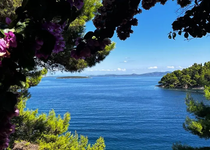 Viktor Апартаменты