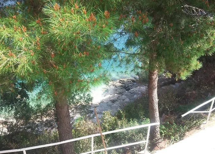 Viktor Апартаменты